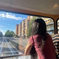 roxii3944