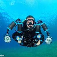 lewisthediver