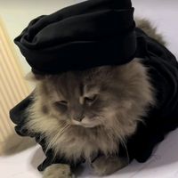 sayyidhani