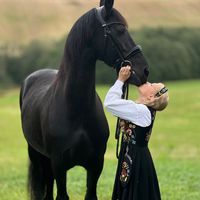 equestrianmadelen