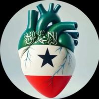 manaal651