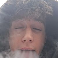 kvidik