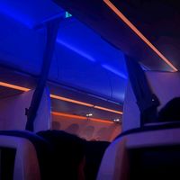 original sound - Kokosas