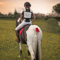 eventing_stm