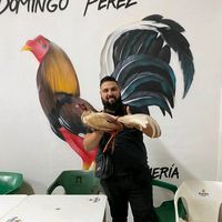 manuelsanchezgo26
