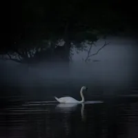 original sound - missdiabeto