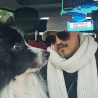 alessandro___80