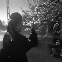 .kittyy.s4kura