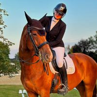 sarah.hoffmann.equest