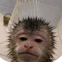 tommycrampton