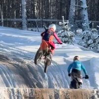 hornskog632