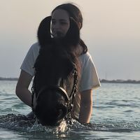 eq_amira4