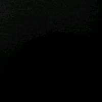 _cats_.4