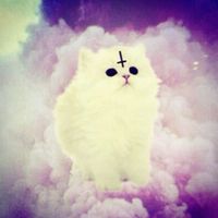 lannali_