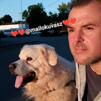 mailokuvasz