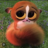carla_ayr