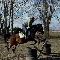 lili_5929