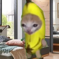 povchats2