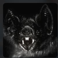 expired.bat.meat