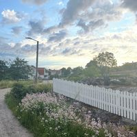 stina.bergwik