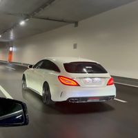 specybardh63s