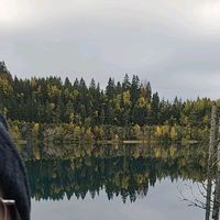 16_kxtzhiy