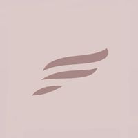 finestlashstudio