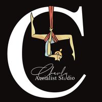 carlottafabianiaerialist