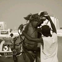 cheikh.niang1990