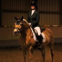 nina.veldman