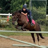 equinelarne