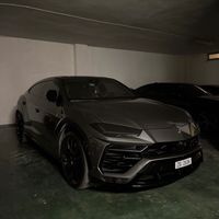 greyurus63