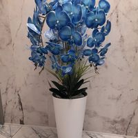 maria.m6374