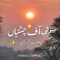 ahmadctnak6