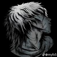 son original - hakki