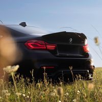 adrien_f82