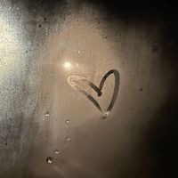 user169740261