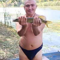 alkuperäinen ääni