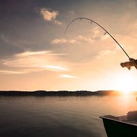 multi_fishing2