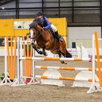 holly.milne11