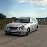 patte_padde08