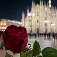 video.stati___06