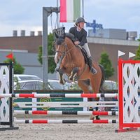 ivr_horseriding