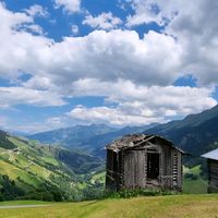 swiss.butterfly