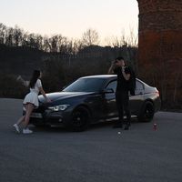 dzibra002