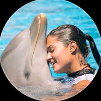 dolphinshow07