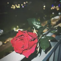 original sound - zeylin_375