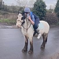 that.equestrian.elliee
