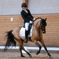 embla_dressage