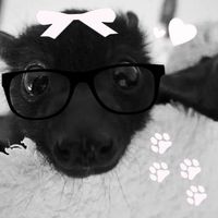 saikistayy.__
